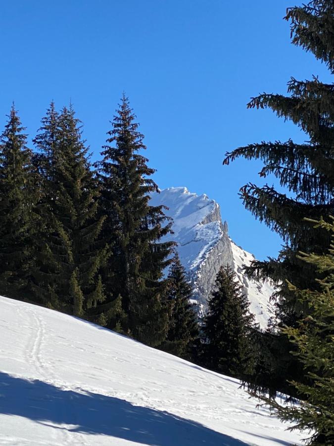 Les Bouquetins Apartman La Clusaz Kültér fotó