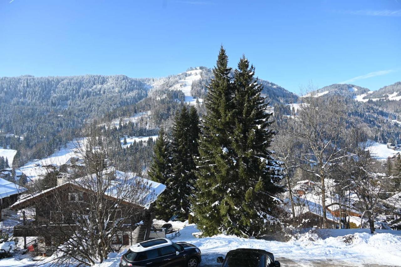 Les Bouquetins Apartman La Clusaz Kültér fotó