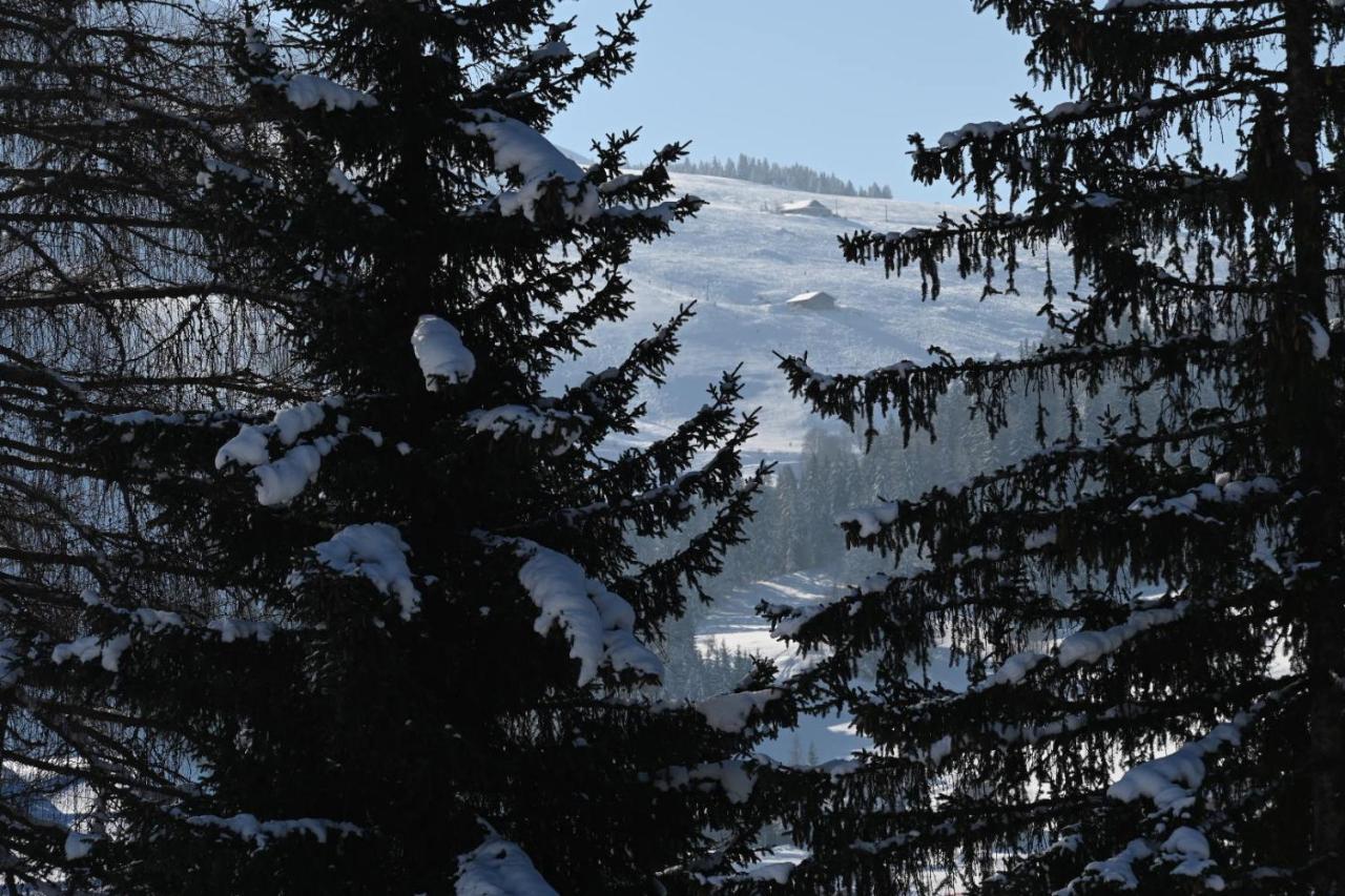 Les Bouquetins Apartman La Clusaz Kültér fotó