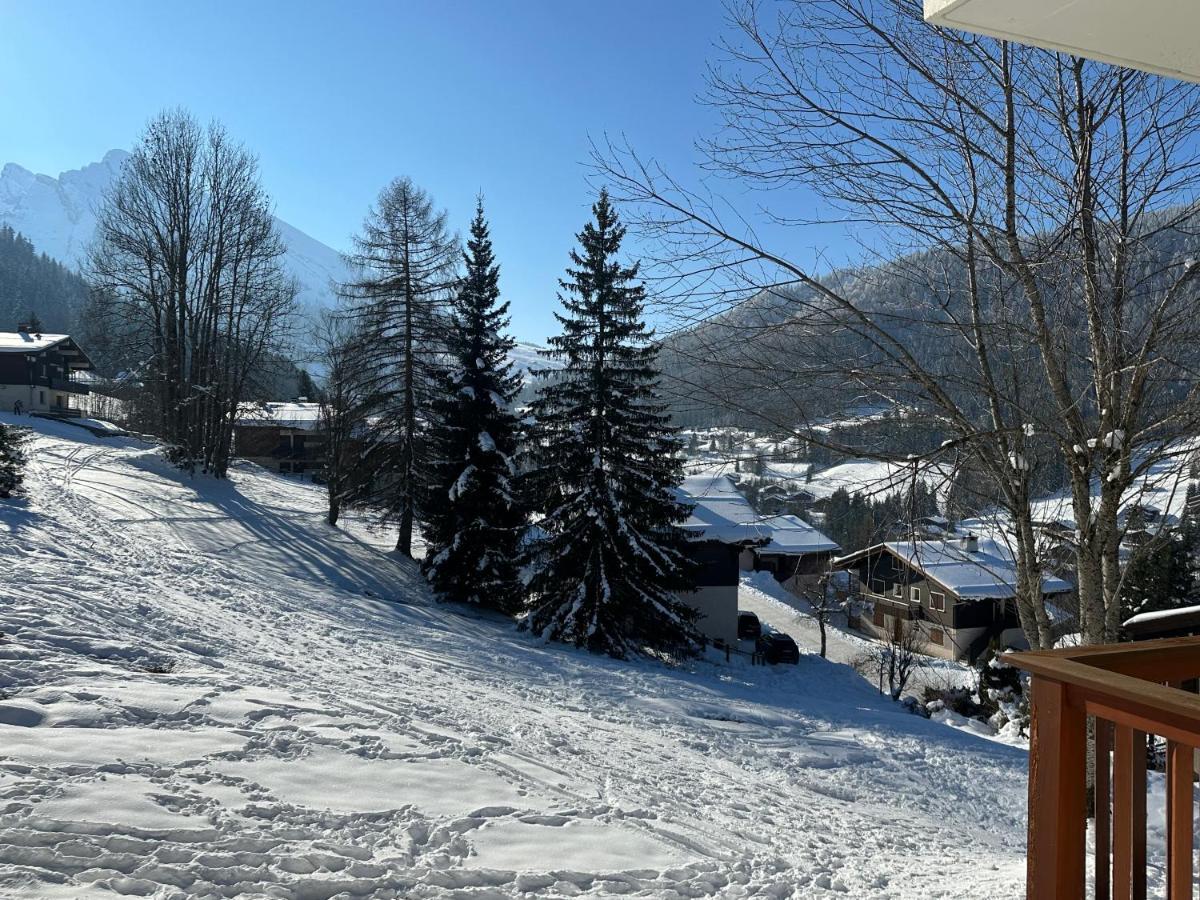 Les Bouquetins Apartman La Clusaz Kültér fotó